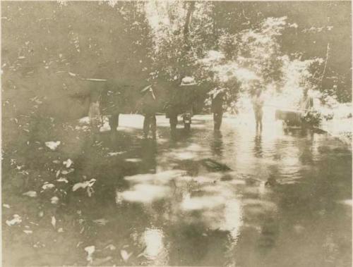 People standing in water