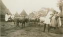 People and cattle in front of huts