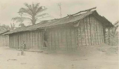 Hut made of palm thatch mats