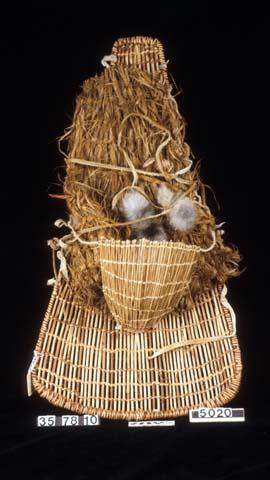 Cradle board. Cradle of twined willow w/ blanket of sage bark & rabbit fur.