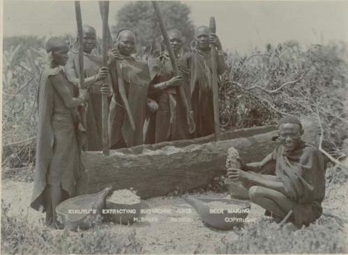 Group extracting sugarcane juice for beer-making