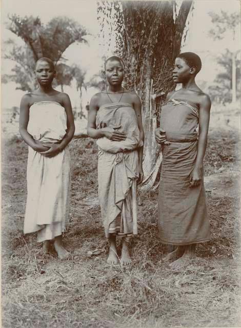 Three women standing under a tree