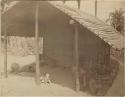 People and a dog sitting under a shelter