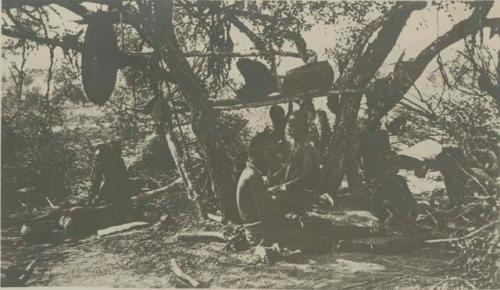 Group sitting under a tree