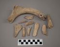 Fragments of deer's antler