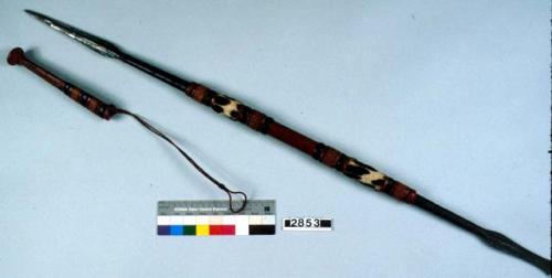 Iron spear with leopard fur and leather handle