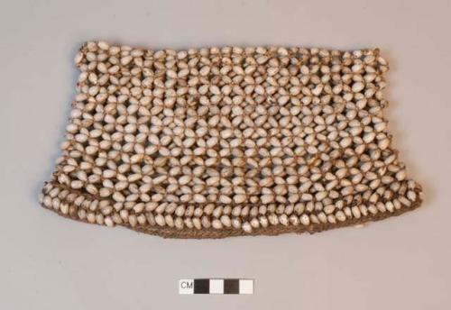 Seed cap, 26 x 12 cm.