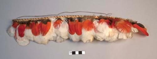 Pandanus leaf head band studded with red genak feathers (gate gate)