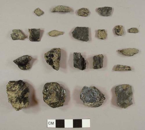 Coal fragments, some anthracite