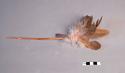 Guarru of native "turkey" feathers