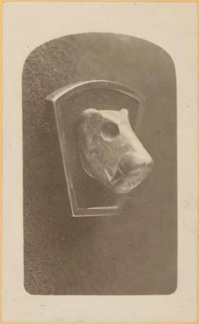 Stone head, US Coast Survey