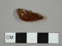 Curved, brown bottle glass fragment