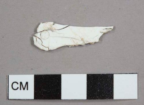 Opaque white plastic handle fragment, possibly from a spoon or fork