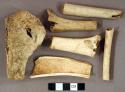 Organic, faunal remains, utilized bone fragments, cut marks