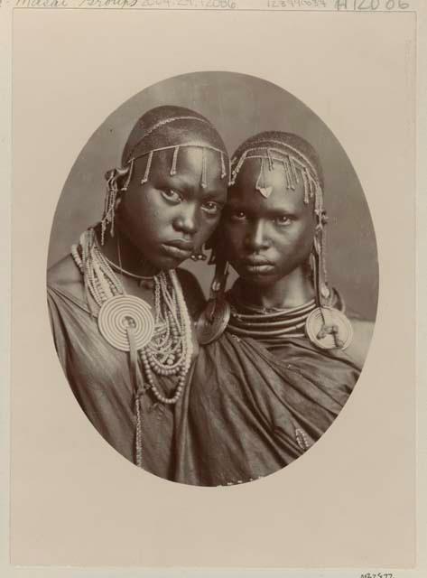 Studio portrait of two girls