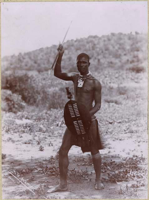 Zulu warrior