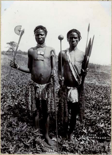 Zulu warriors