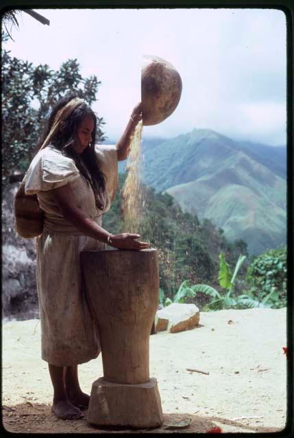 Ika woman sorting corn






