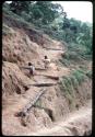 Ika children carrying lamb




