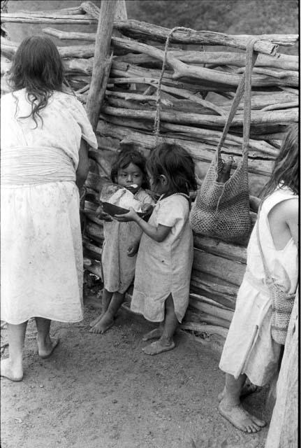 Ika children in corral drinking milk








