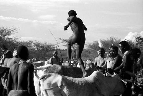 Hamar bull-jumping ceremony - Ethiopia


