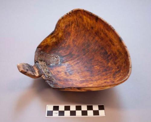 Musk ox ladle, Copper Eskimo. Made from musk ox tusk, repaired with tin. Overall