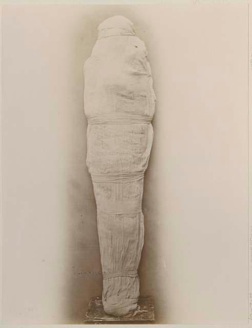 Mummy of King Ramses II