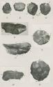 Neolithic flint tools