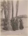 Group of women with a child next to trees