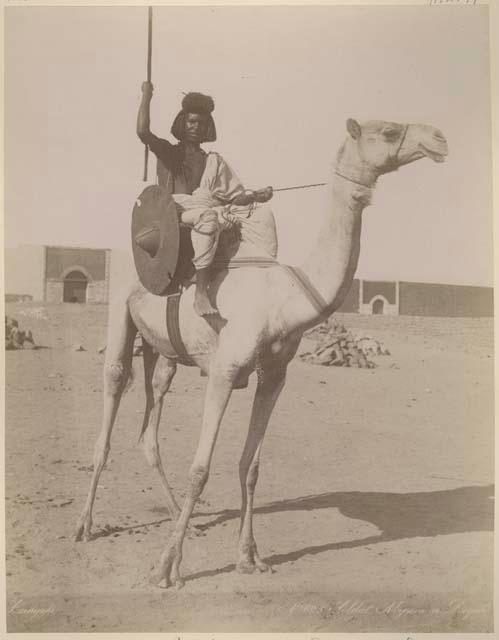 Man sitting on a camel holding a spear