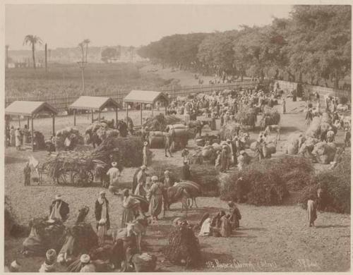 Market at Ghezireh