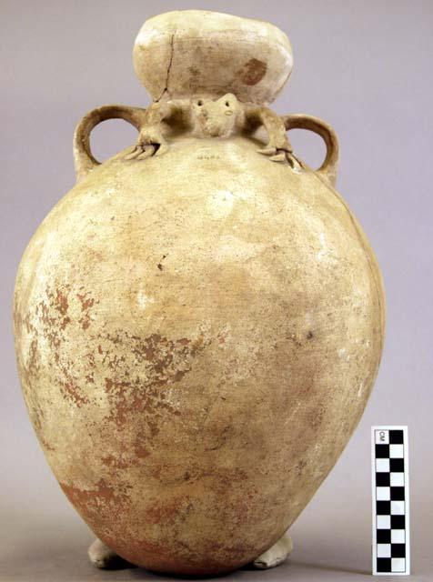 Large jar, with representation of an animal on neck