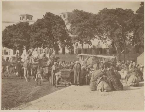 Group of people and camels in front of trees and buildings