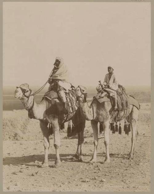 Two men riding camels