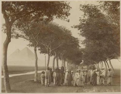 Group of children standing on tree-lined road, with pyramids in background