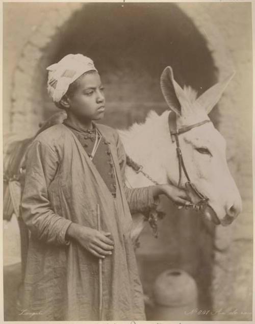 Boy with a donkey