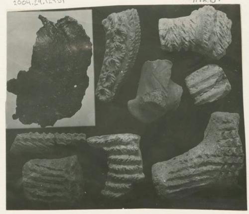 Ceramic sherds