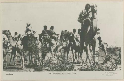 Group of men riding camels