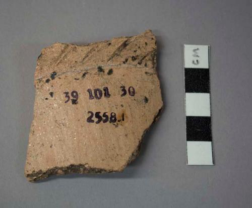 Pucara plain potsherd