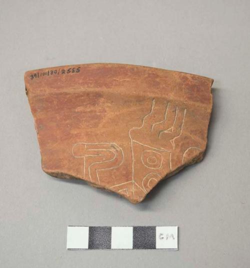 Pucara polychrome potsherd with incised ungulate