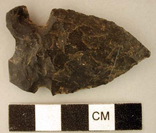 Chipped stone projectile point, bifurcate base