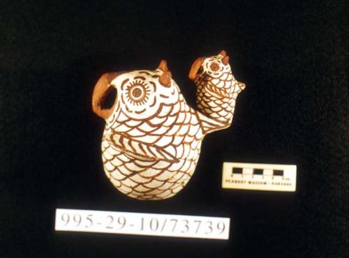 Polychrome-on-white Owls