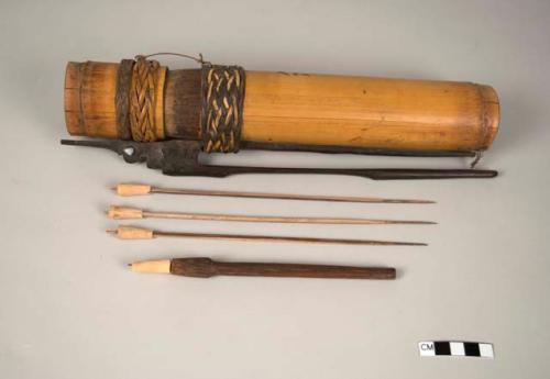 Blowgun arrows and quiver