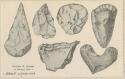 Flaked stone tools