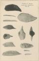 Stone tools