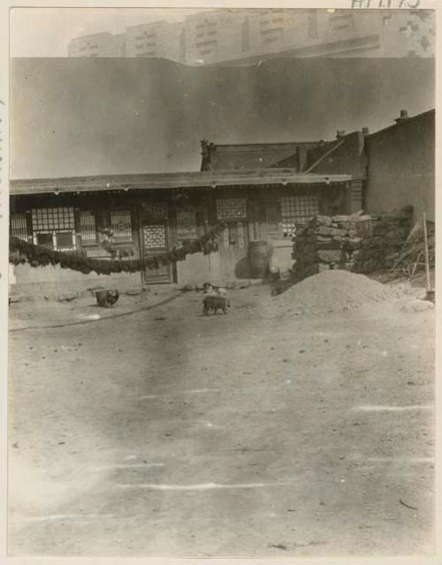 Courtyard of carpet factory with coal and dog