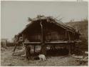 People and dogs next to a hut