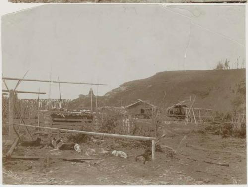 Village, with dogs in foreground