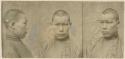 Studio portrait of a man, three views