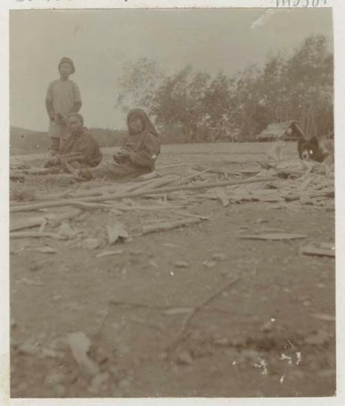 Women preparing fish for drying, with dog and hut in background